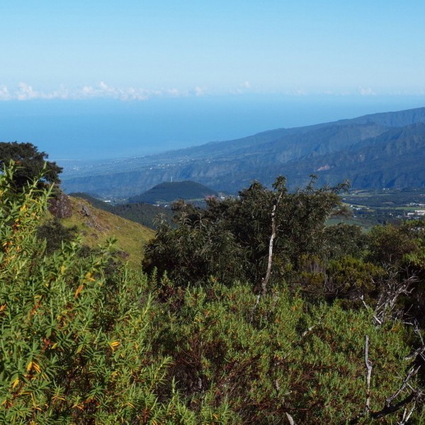 Udsigt La Reunion