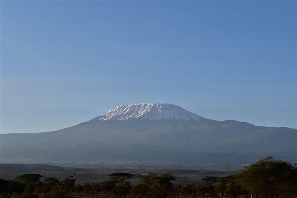 Kilimanjaro fra Amboseli National Park