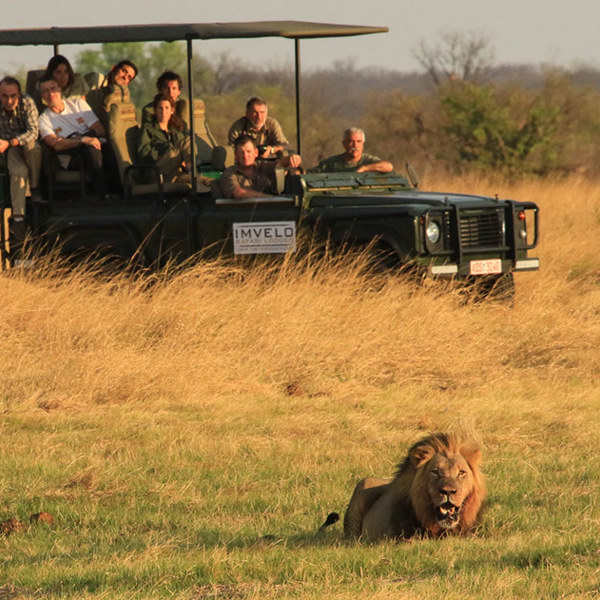 Safari i Hwange fra Nehimba