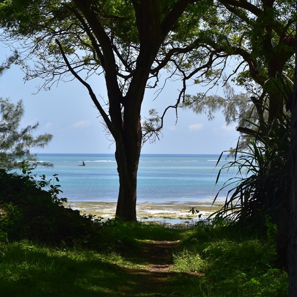 Kenyas flotte sydkyst