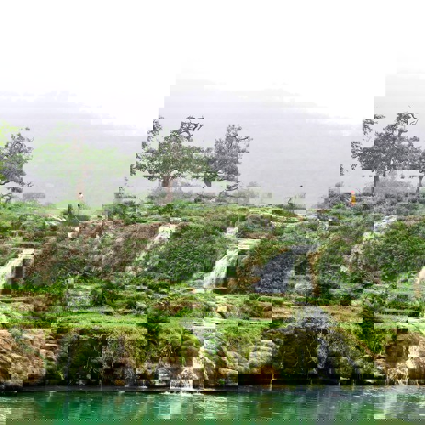 Frodigt landskab i Salalah, Oman