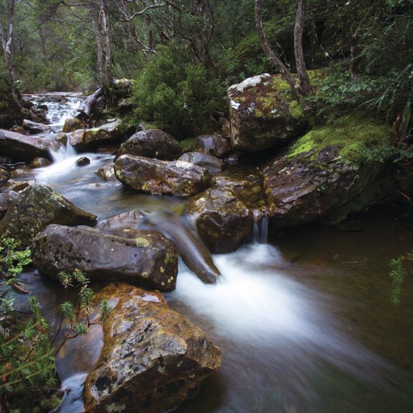 Cradle Mountain, Tasmanien
