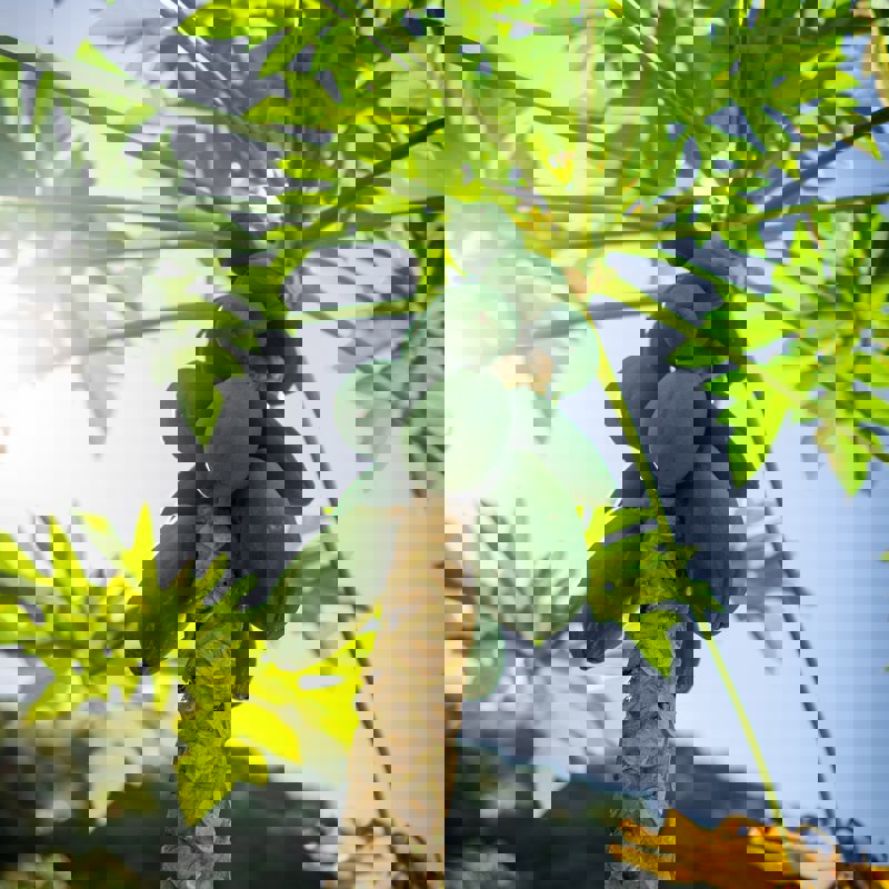 localize-FWuUSEGKz94-unsplash