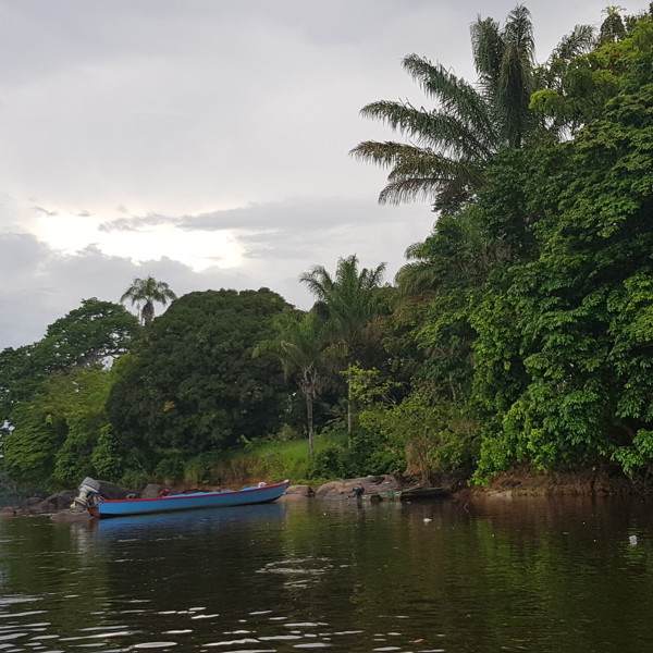 Saramaka i Danpaati område, Surinam