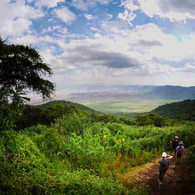 Ngorongoro Crater Rim Walk