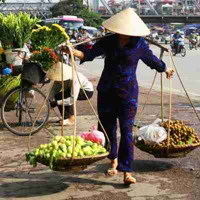 Frugthandler, Vietnam