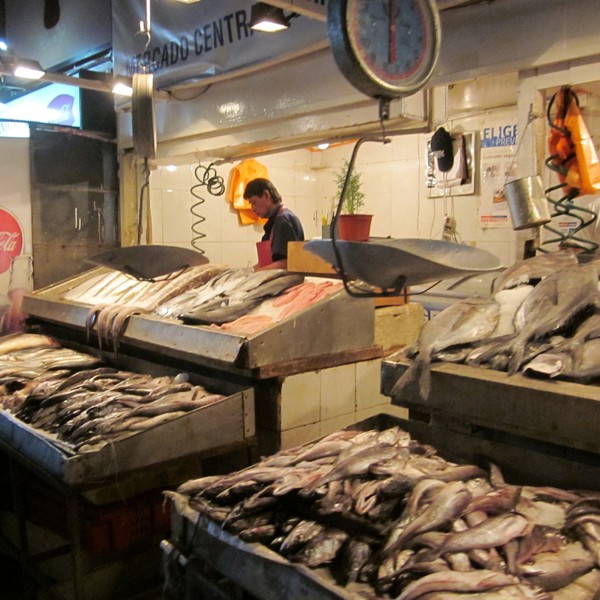 fiskemarked
