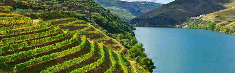 Douro-dalens vinmarker og flod