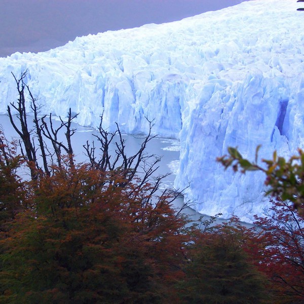 Glaciar Perito Moreno