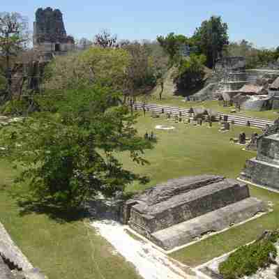 Tikal pyramiderne og ruinerne