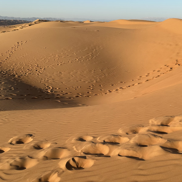 Sand og mere sand i Wahiba Sands i Oman