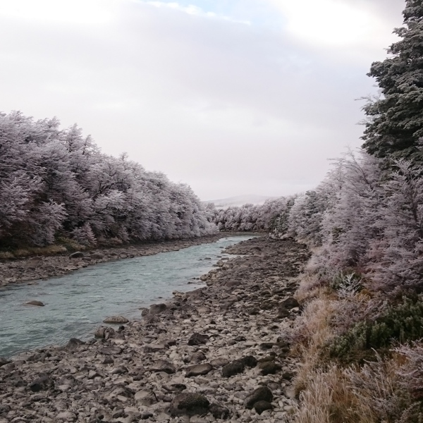 Oplev Patagonien på en Chile rejse