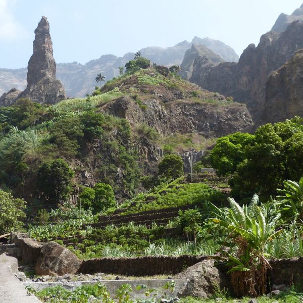 Den grønne og frodige natur på Kap Verde