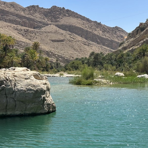 Smuk oase i Wadi Bani Khalid i Oman