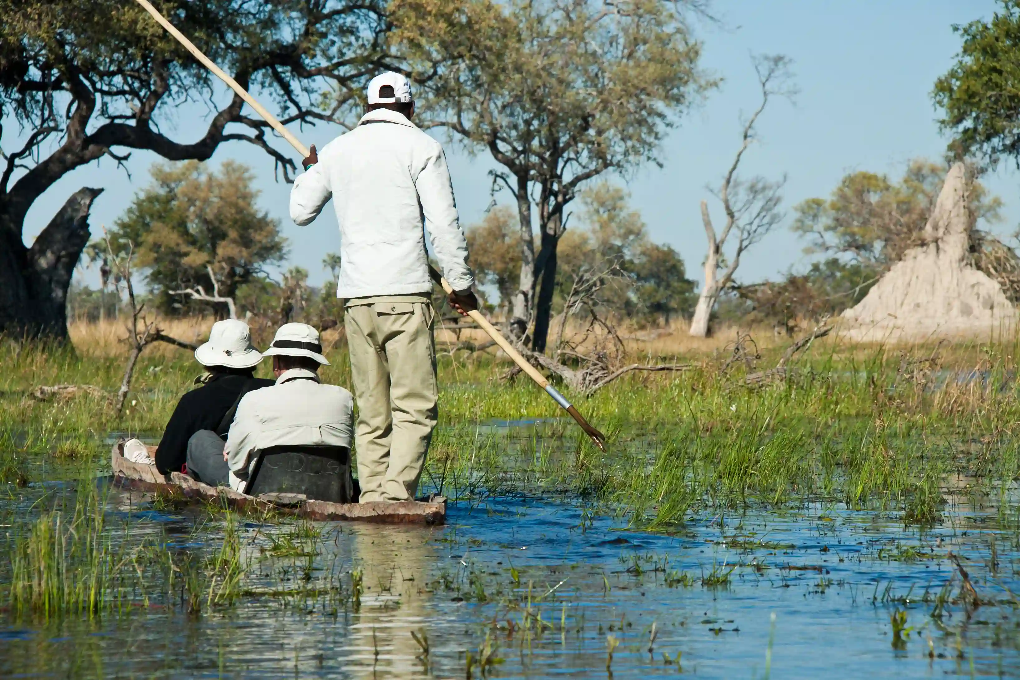 Sejltur i mokoro, Okavango deltaet, Botswana