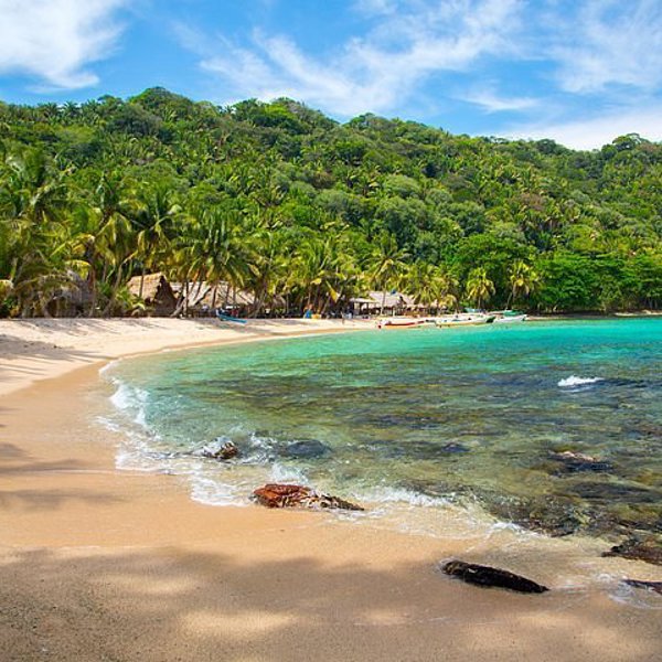 Palmer og strand langs Honduras