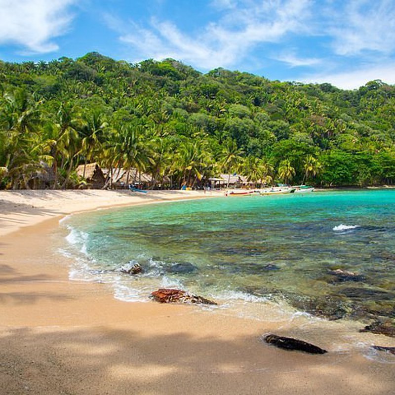 Palmer og strand langs Honduras