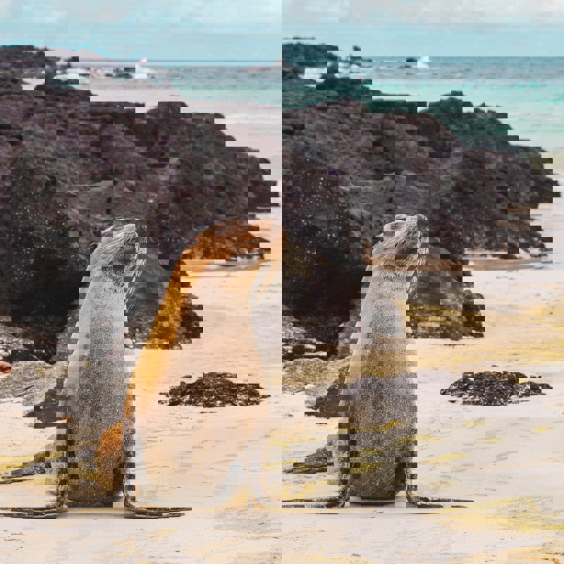 amy-perez-w55TgHidHoE-unsplash