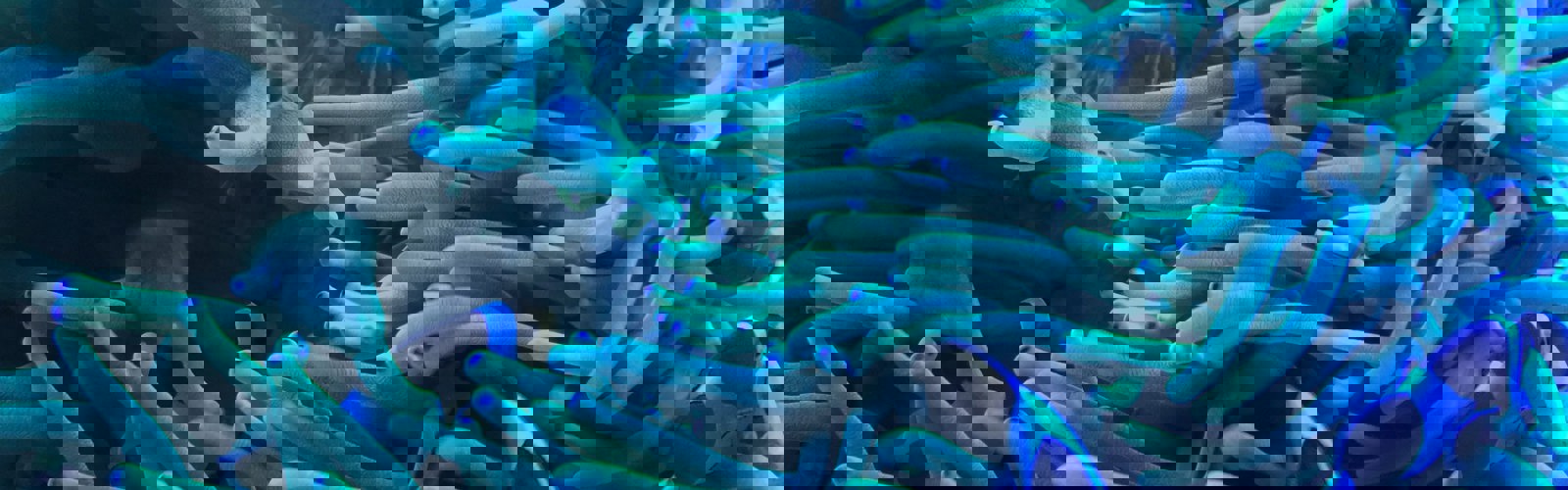 eva-tillmann-INyRx2zfZJw-unsplash