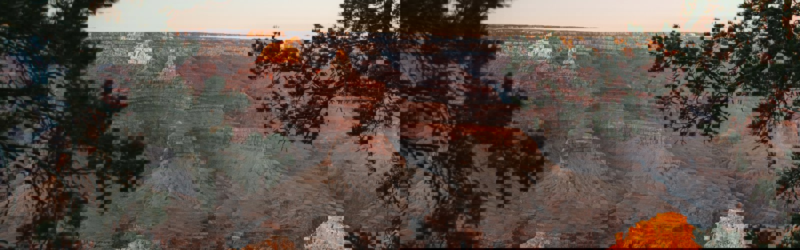 parsa-mahmoudi-xiOiFxyKyMU-unsplash