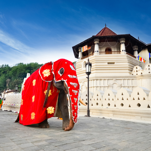 Sri Lanka - Kandy - Temple of the tooth
