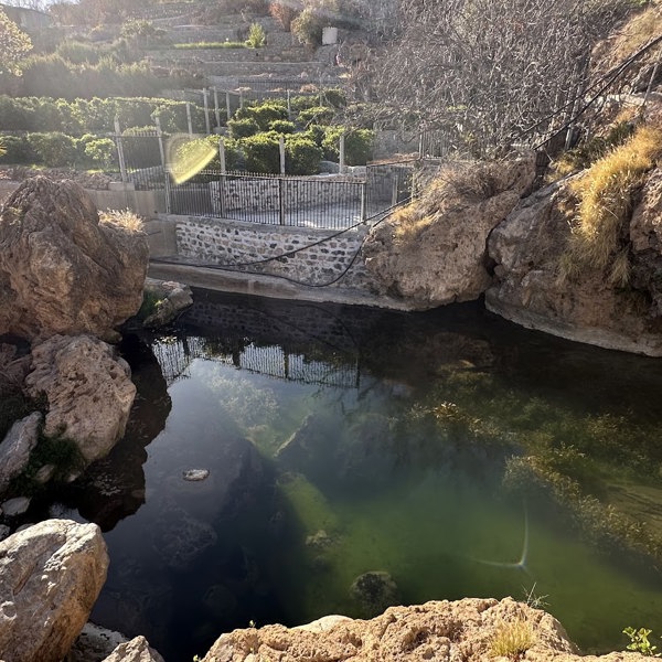 Lille oase i området omkring Jabal Akhdar i Oman