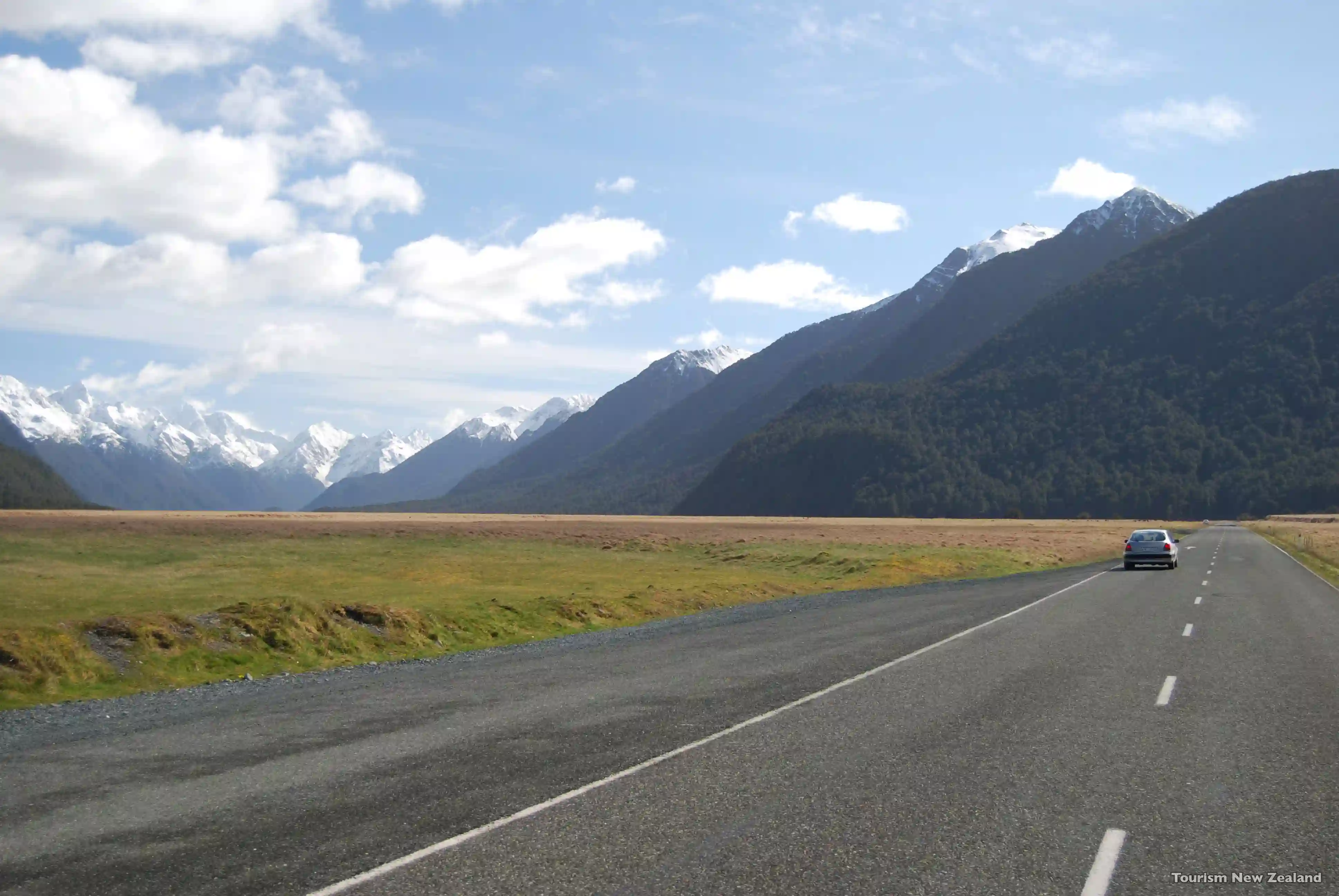 Vejen mod Fiordland National Park, New Zealand