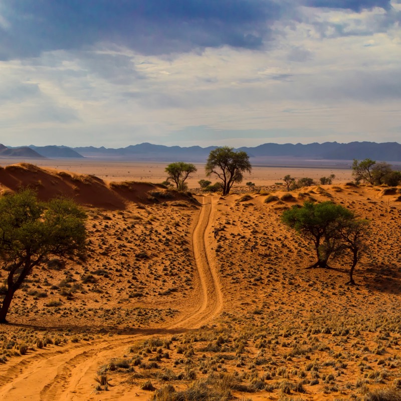 Namibia ørken med sti