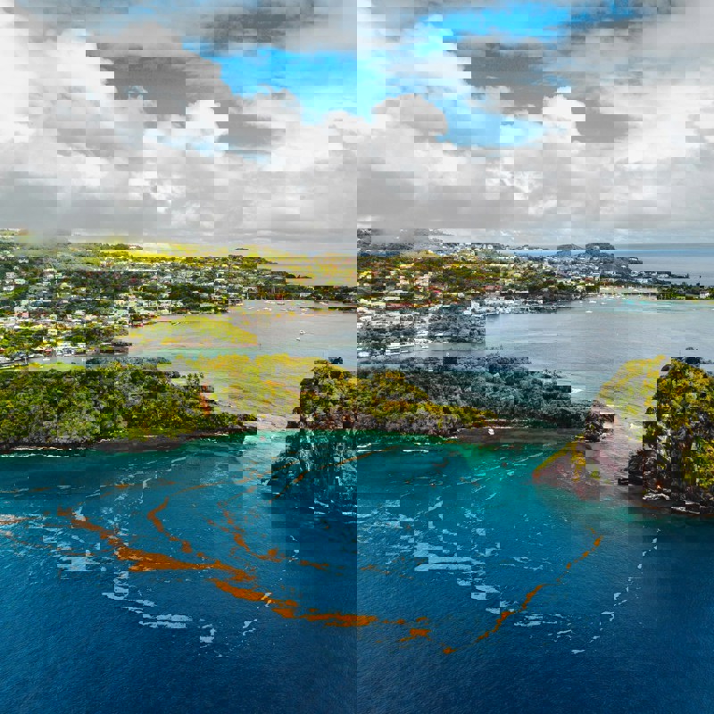 George apodaca med blå hav