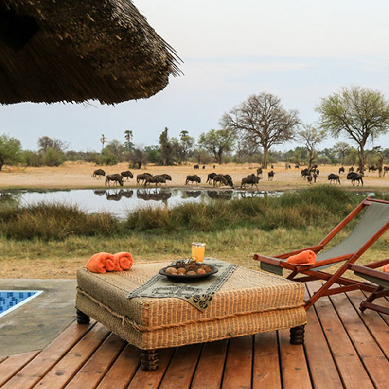 safari i Hwange National Park