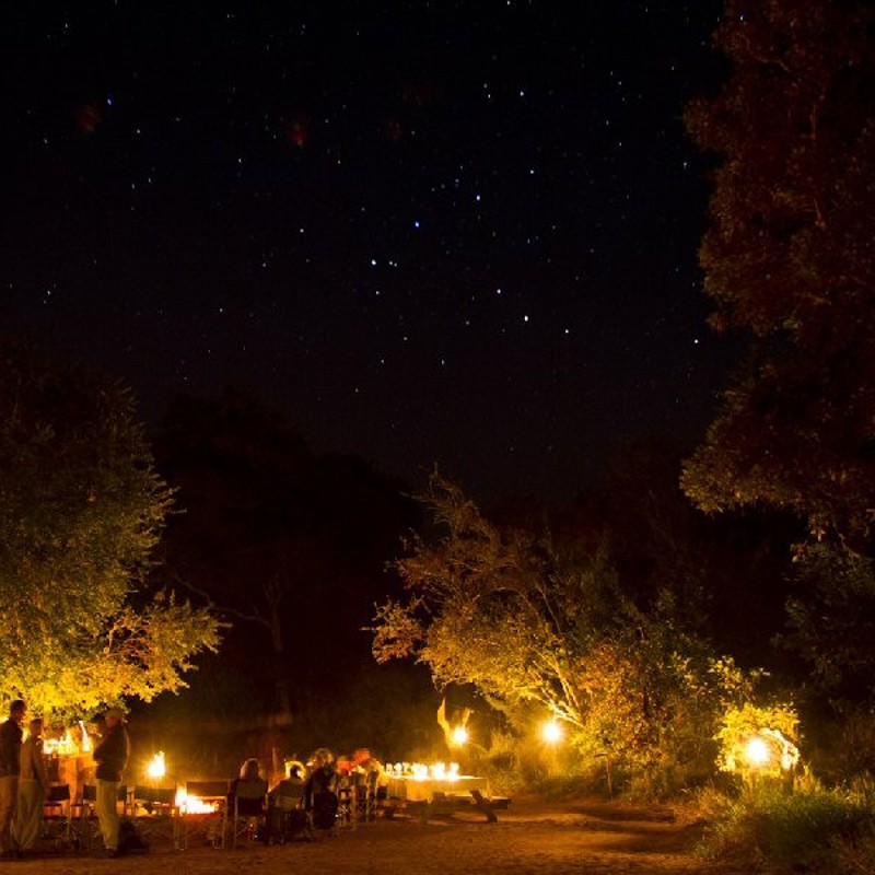 Bush-Camp-by-night-11