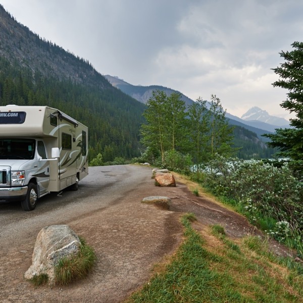 Road Bear på tur i Alberta