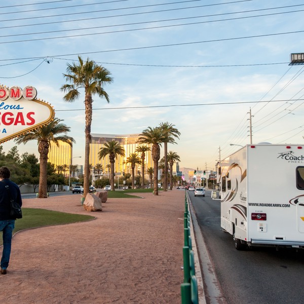 Road Bear, Las Vegas