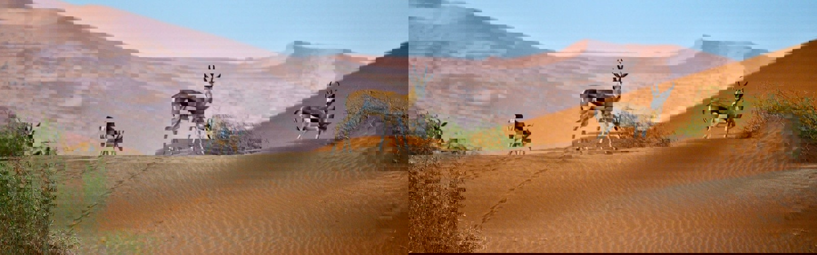 arne-smith-jRYBR41lx3Y-unsplash