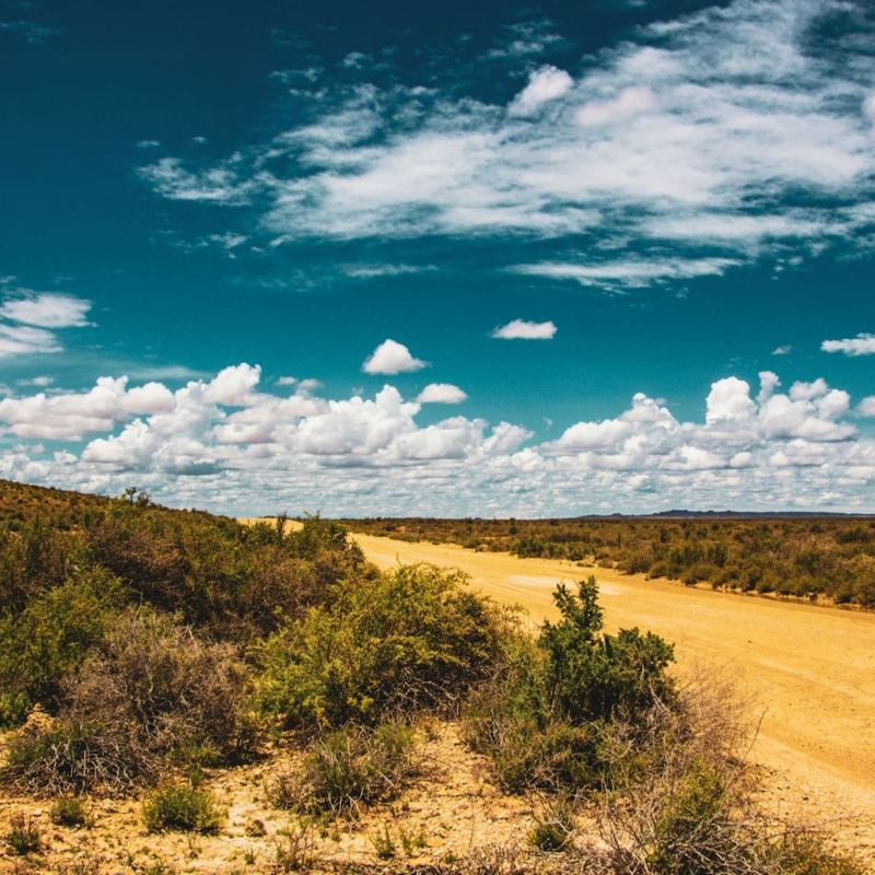 I:\AXUMIMAGES\Afrika\Sydafrika\Route 62\Karoo