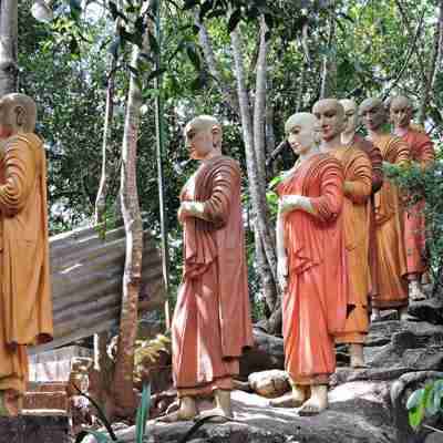 Munke i skove, verdens buddhist tempel, Kandy, Sri Lanka