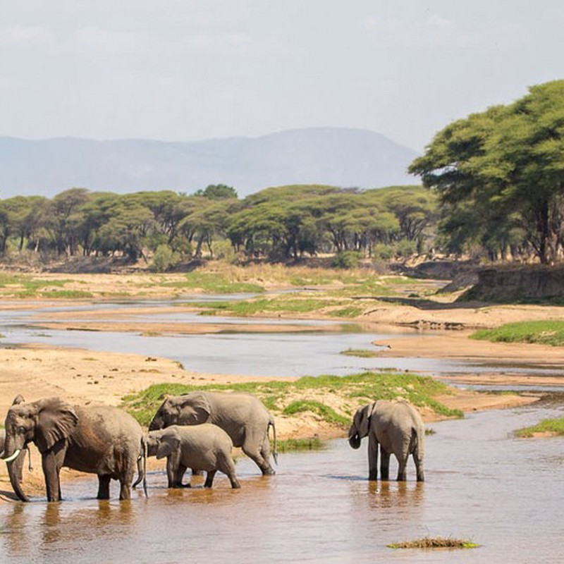 Ruaha1