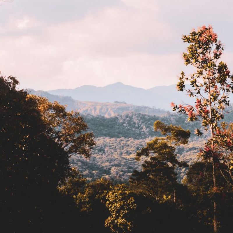 I:\AXUMIMAGES\Sydamerika\Colombia\Los Llanos\Meta