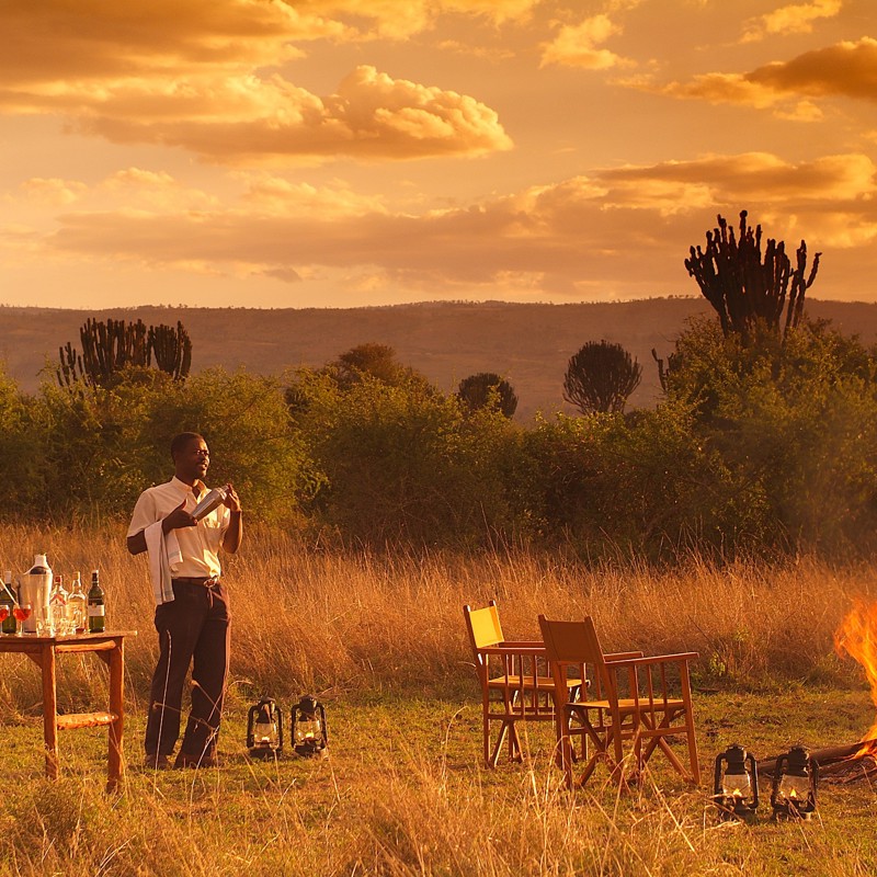 23 Mbweha Sundowner.