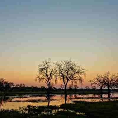 Flot solnedgang i Moremi, Botswana