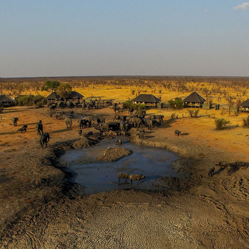 safari i zimbabwe