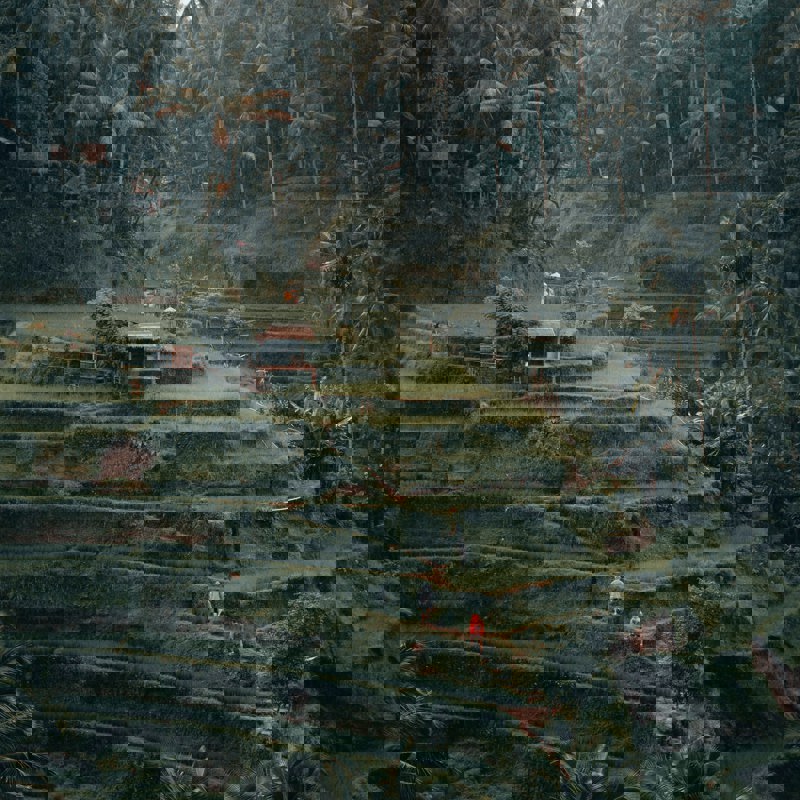 radoslav-bali-jN9JnZ-SyVc-unsplash