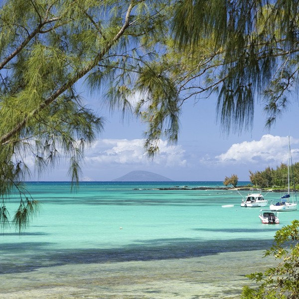 Udsigt mellem palmerne udover havet