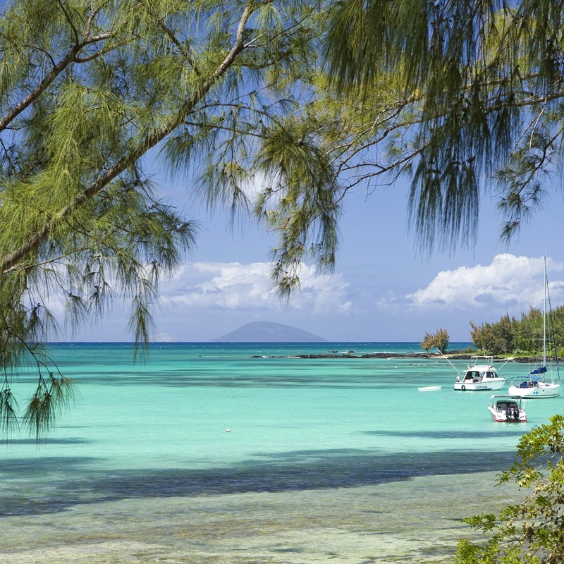 Udsigt mellem palmerne udover havet