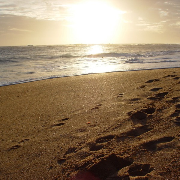 solnedgang stranden uruguay