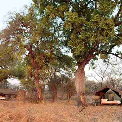 Teltene i Nkonzi Bushcamp