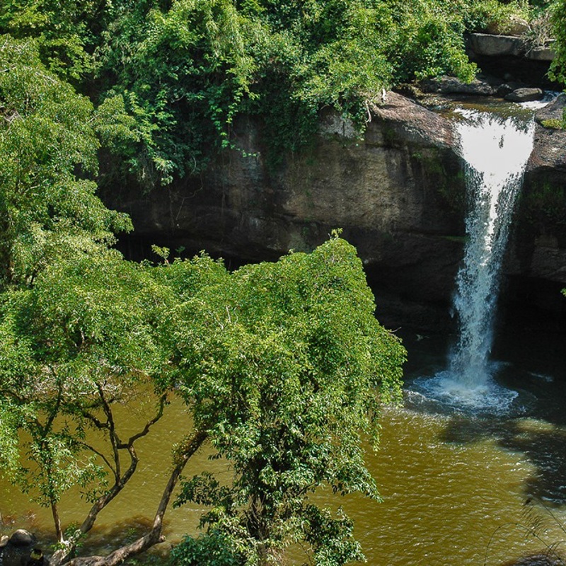 Flot landskab i Khao Yai National Park, Thailand