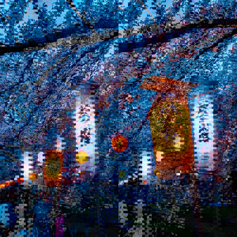 Japan - temple4