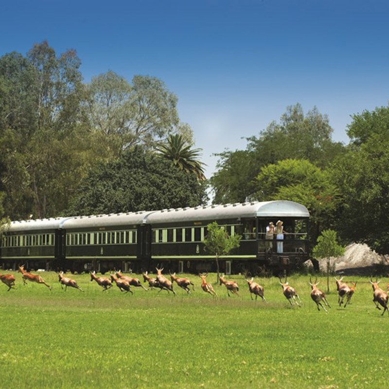 Togrejse med Rovos Rail
