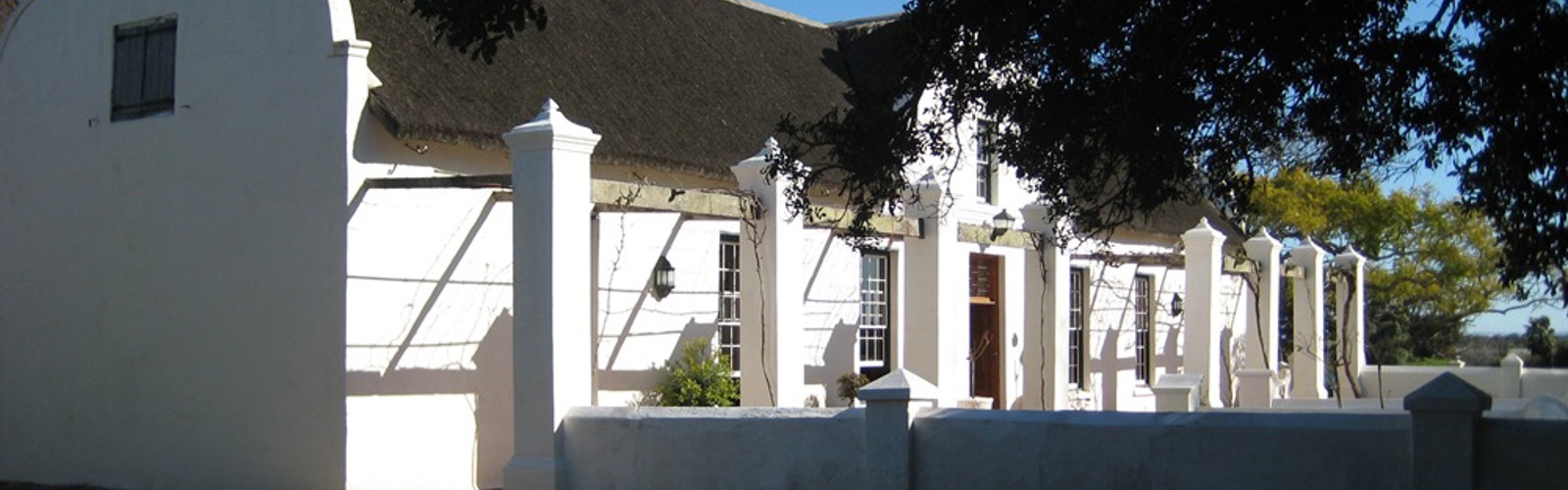 Klassisk vingård, Sydafrika